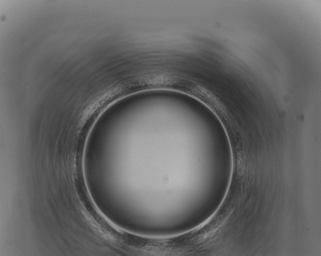 X0000062860725200601201728