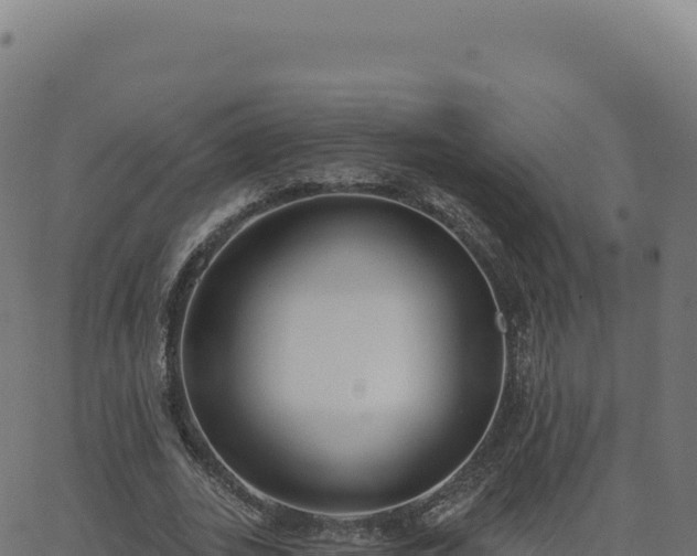 X0000062860727200601201728