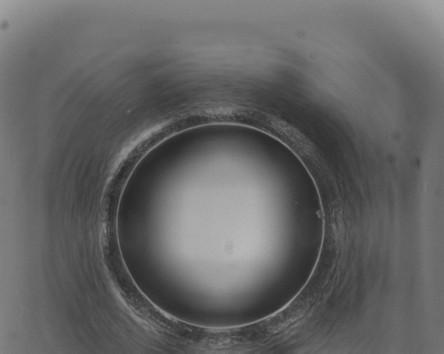 X0000062860728200601201728