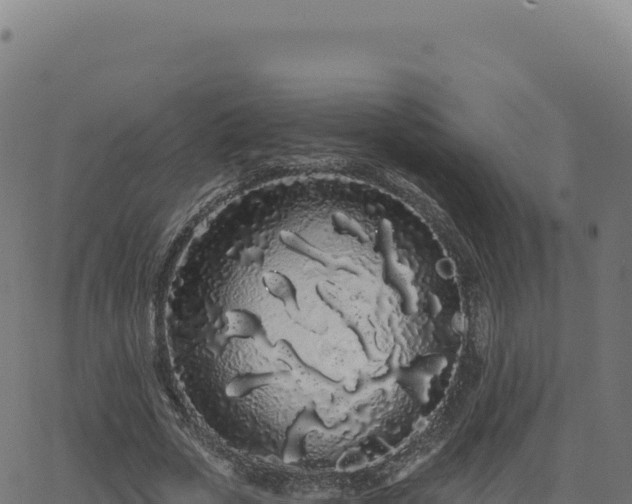 X0000062860729200601201728