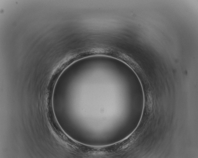 X0000062860730200601201728