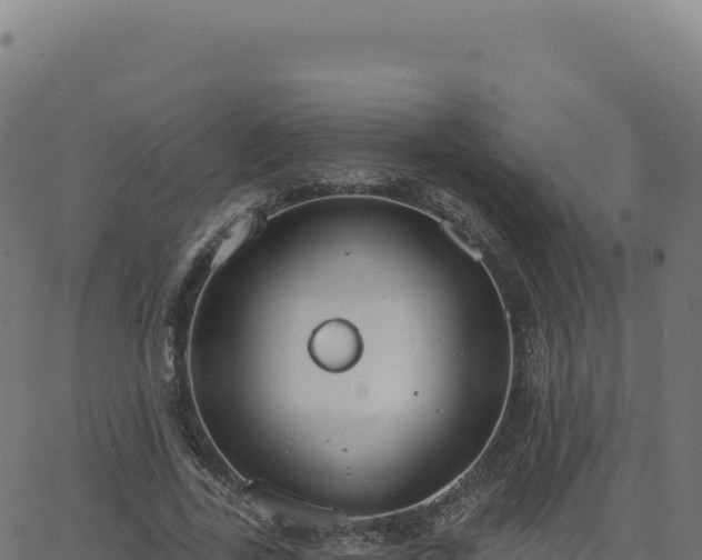 X0000062860731200601201728