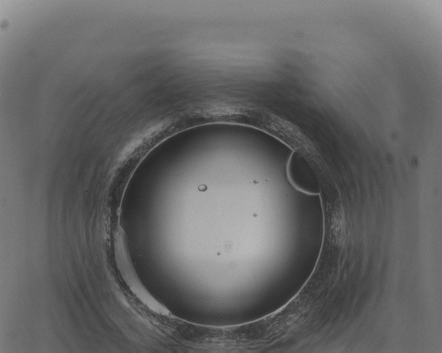 X0000062860732200601201728