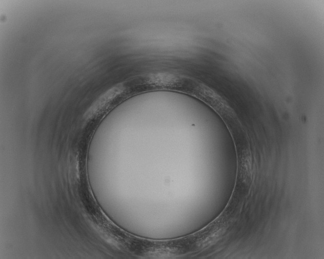 X0000062860734200601201728