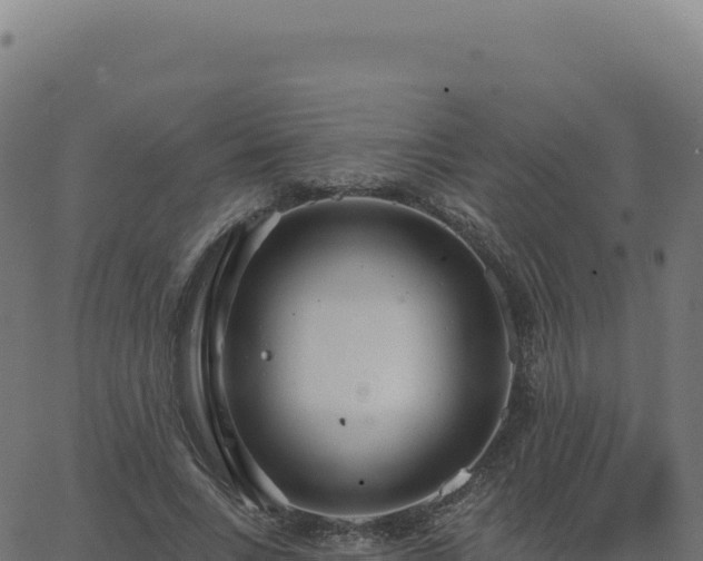 X0000062860735200601201728