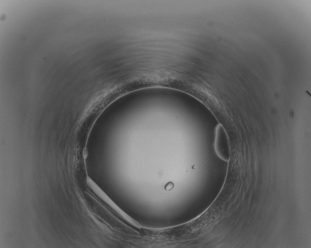 X0000062860736200601201728