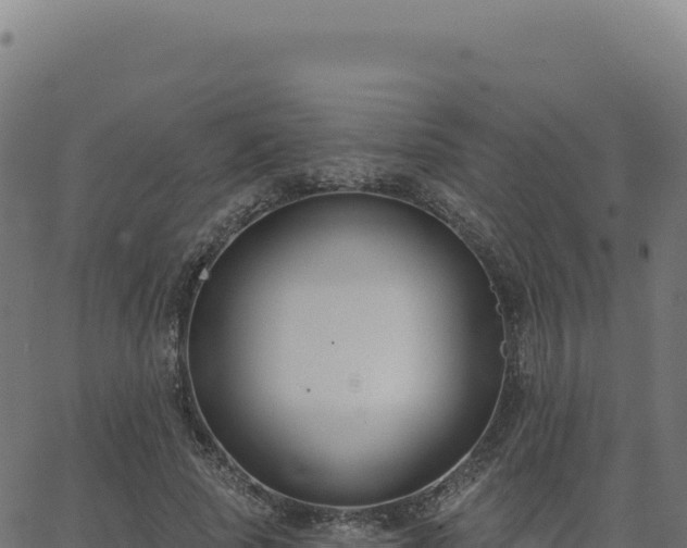 X0000062860737200601201728