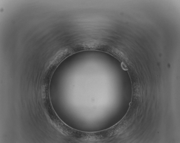 X0000062860738200601201728