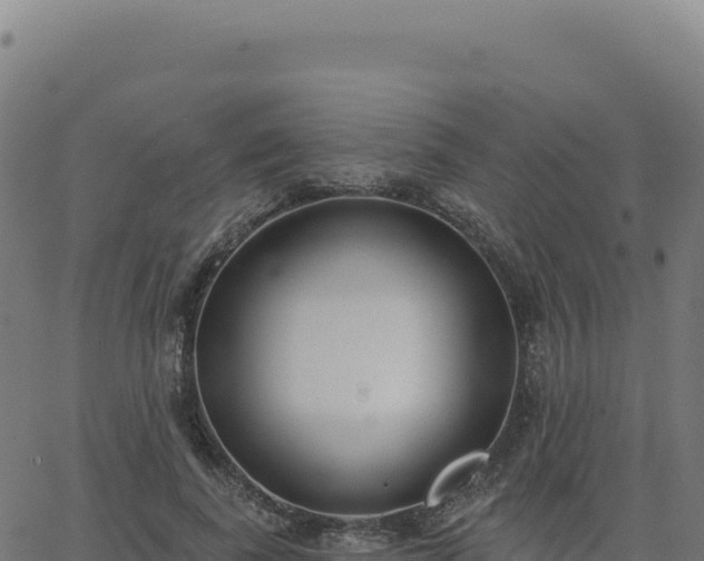 X0000062860739200601201728