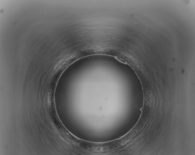 X0000062860740200601201728