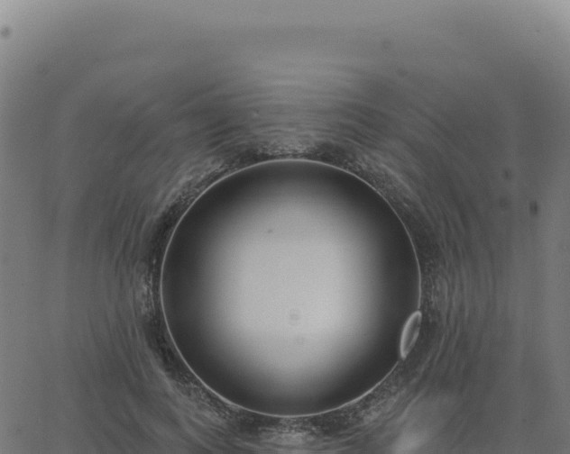 X0000062860743200601201728