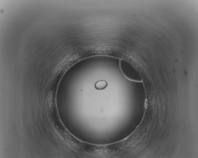 X0000062860744200601201728