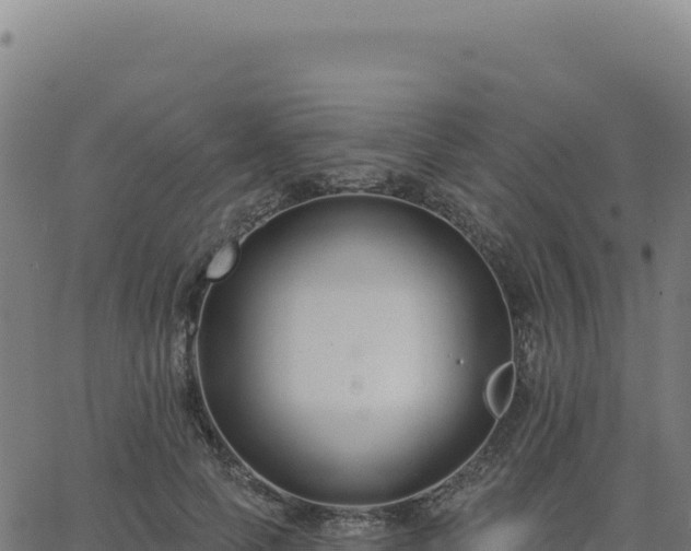 X0000062860745200601201728