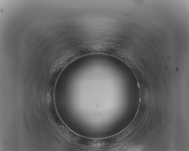 X0000062860746200601201728