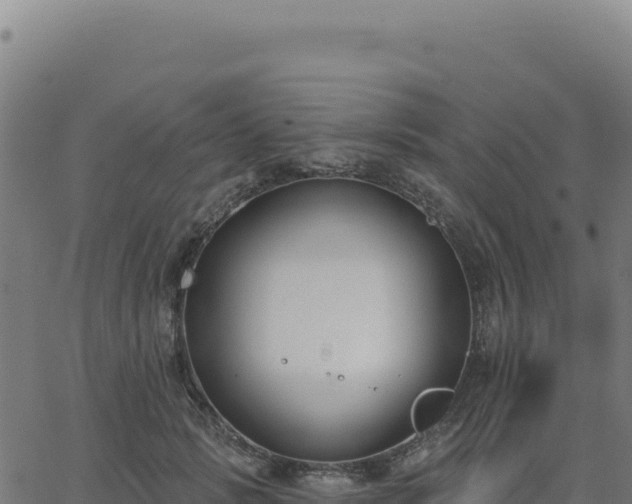 X0000062860749200601201728