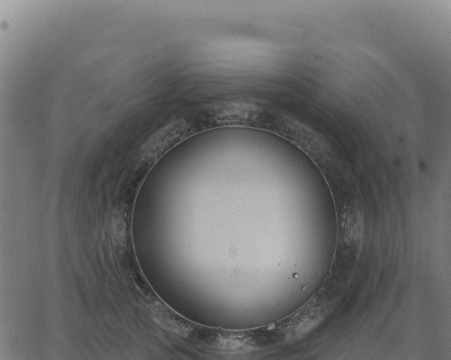 X0000062860753200601201728