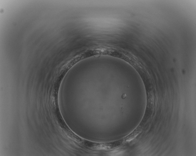 X0000062860754200601201728