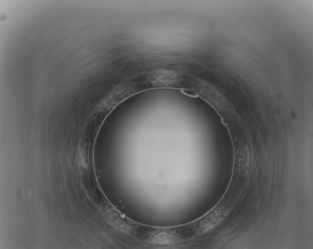 X0000062860755200601201728