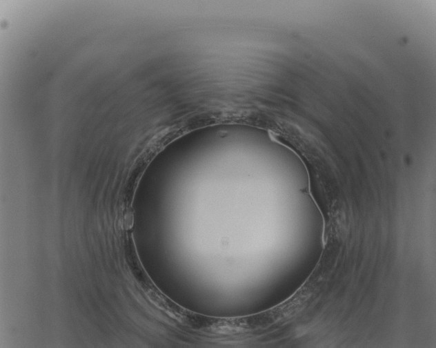 X0000062860756200601201728