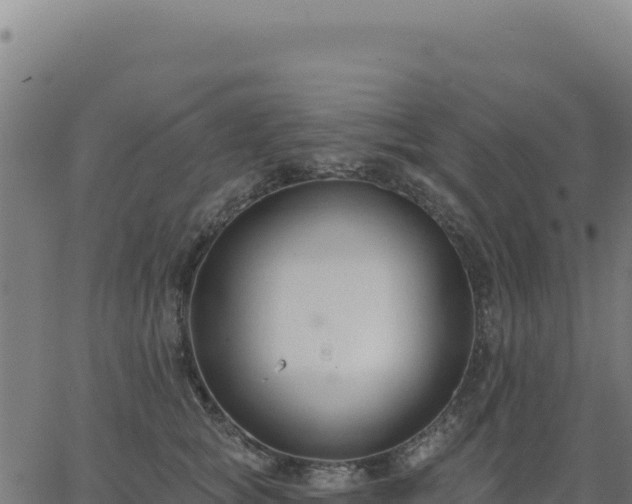 X0000062860757200601201728