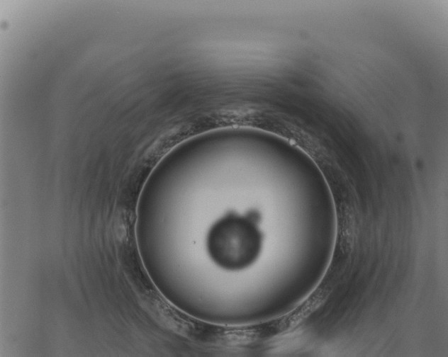 X0000062860758200601201728