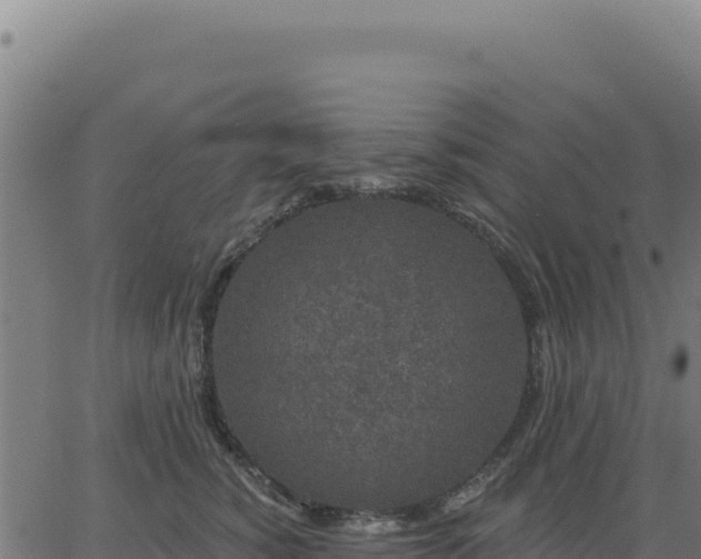 X0000062860760200601201728