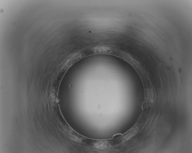 X0000062860761200601201728