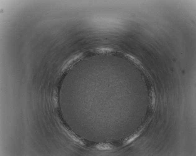 X0000062860762200601201728