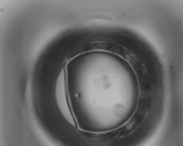 X0000062860765200601201729