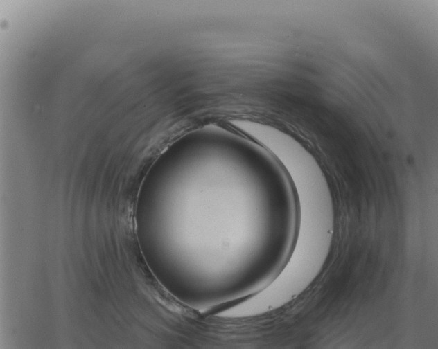 X0000062860766200601201729