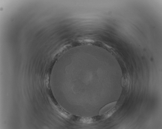 X0000062860767200601201729