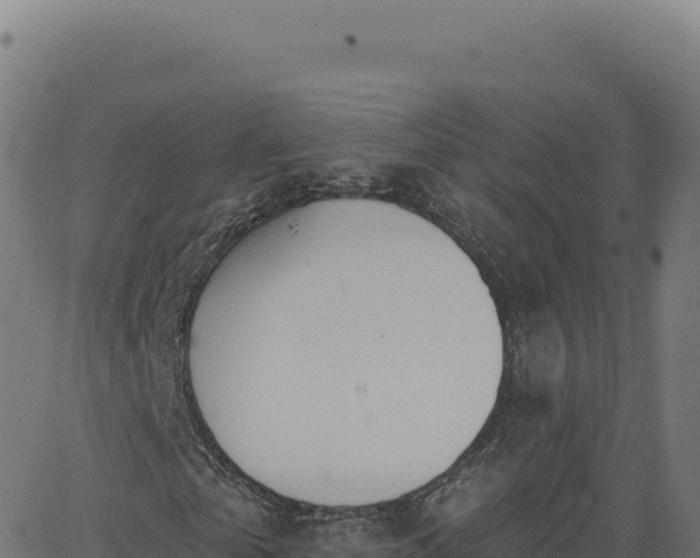 X0000062860769200601201728