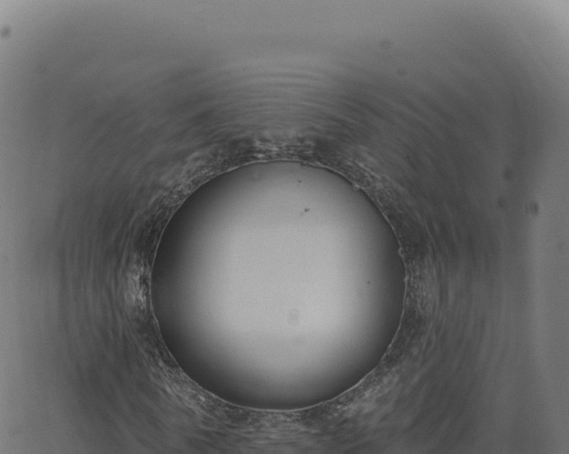 X0000062860770200601201728