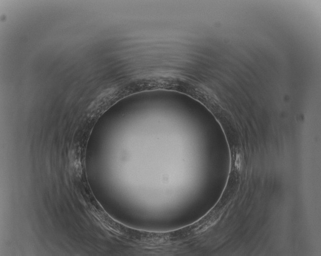 X0000062860771200601201728