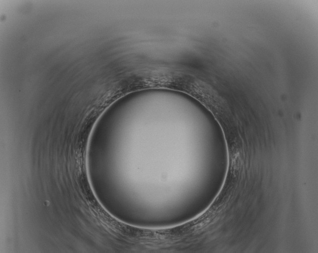 X0000062860772200601201728