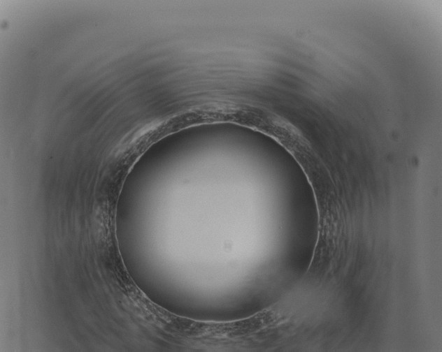 X0000062860773200601201728