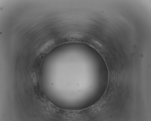 X0000062860774200601201728