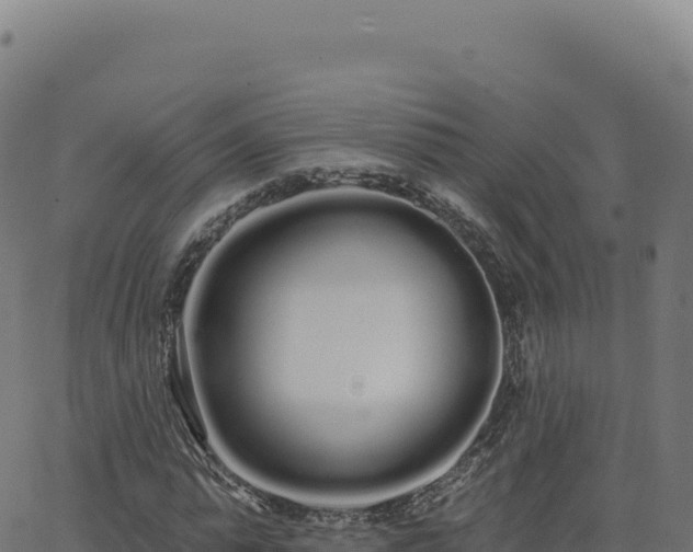 X0000062860775200601201728