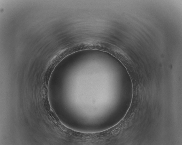 X0000062860776200601201728