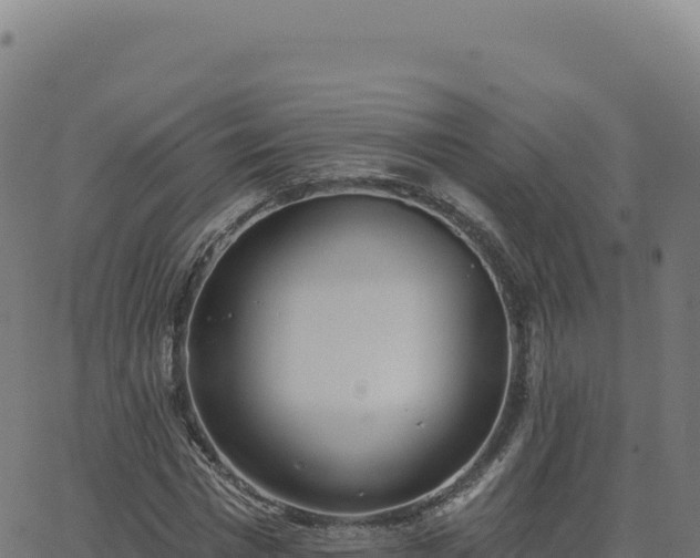 X0000062860777200601201728