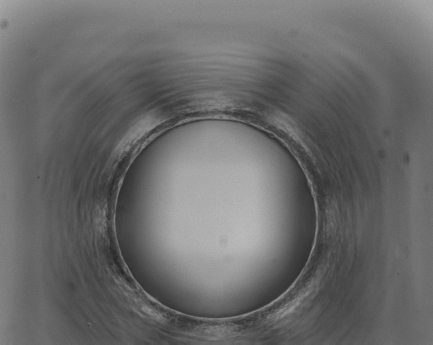 X0000062860778200601201728