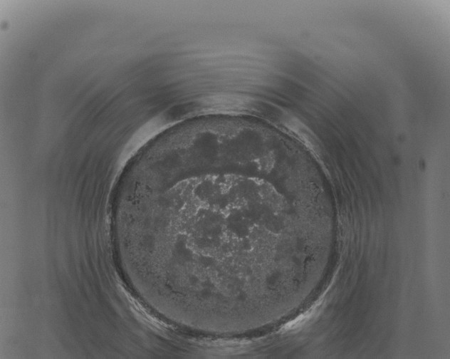 X0000062860779200601201728