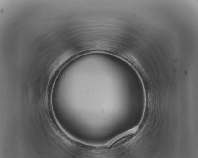 X0000062860780200601201728