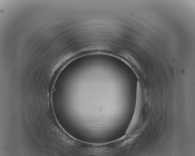 X0000062860781200601201728