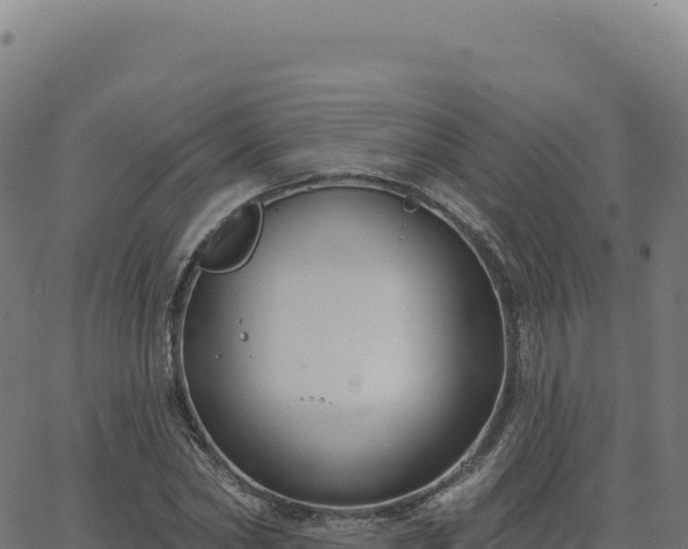 X0000062860782200601201728