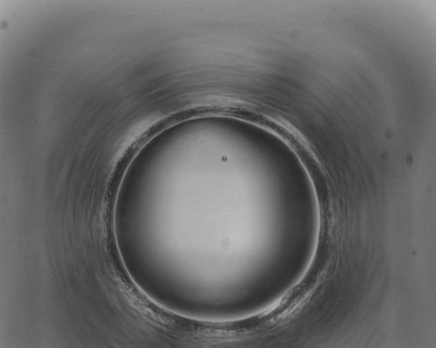 X0000062860783200601201728