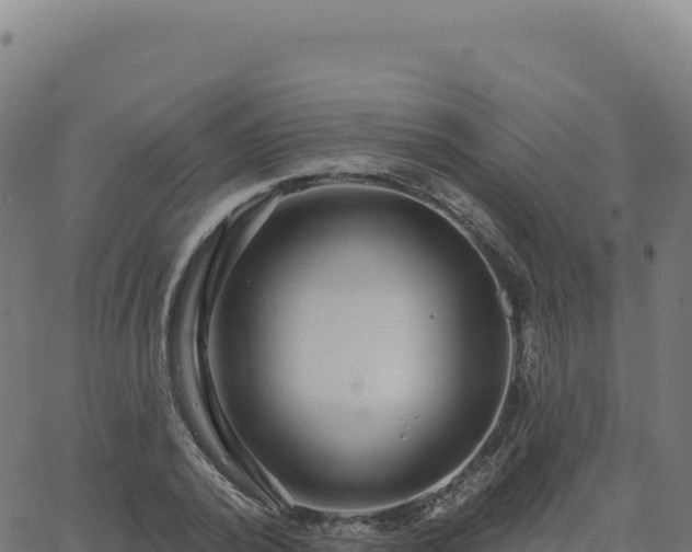 X0000062860784200601201728