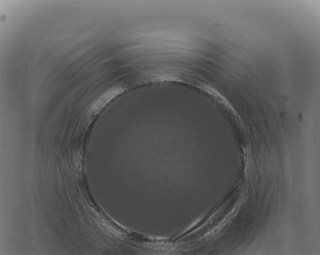 X0000062860785200601201728