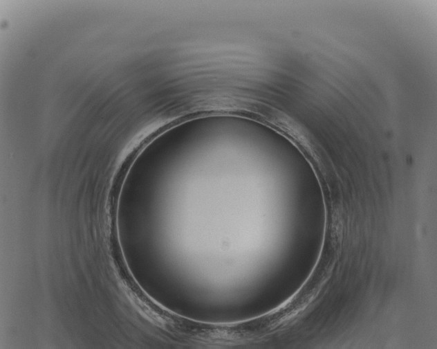 X0000062860787200601201728