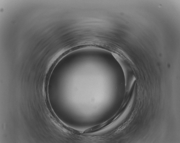 X0000062860788200601201727